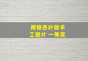 用银杏叶做手工图片 一等奖